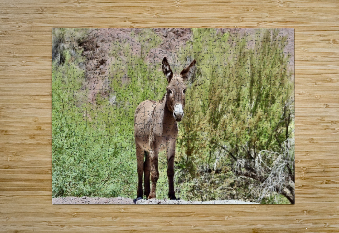 Wild Donkey Parker Arizona Leslie Affeldt Photography Puzzle printing