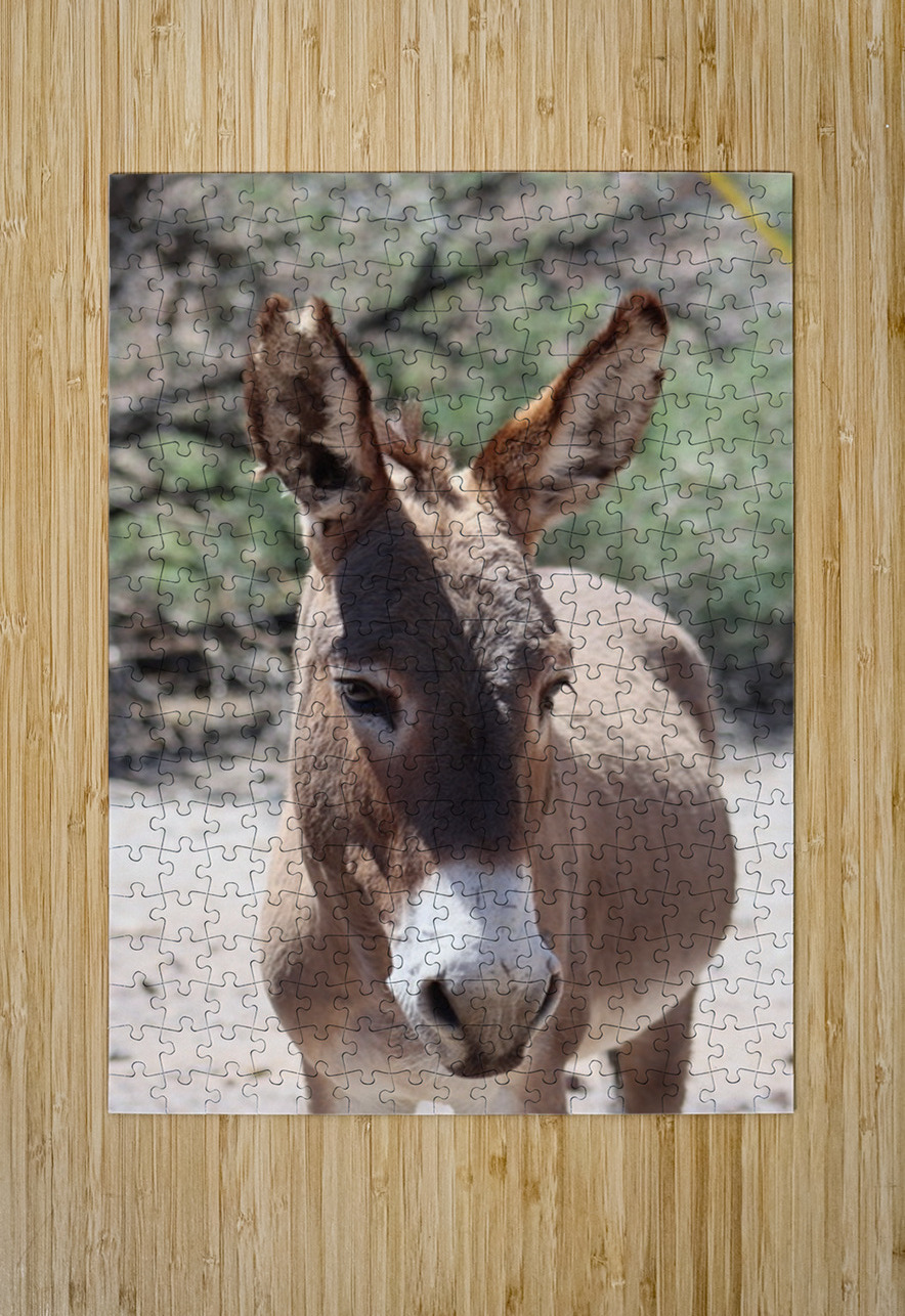 Split ear donkey Leslie Affeldt Photography Puzzle printing