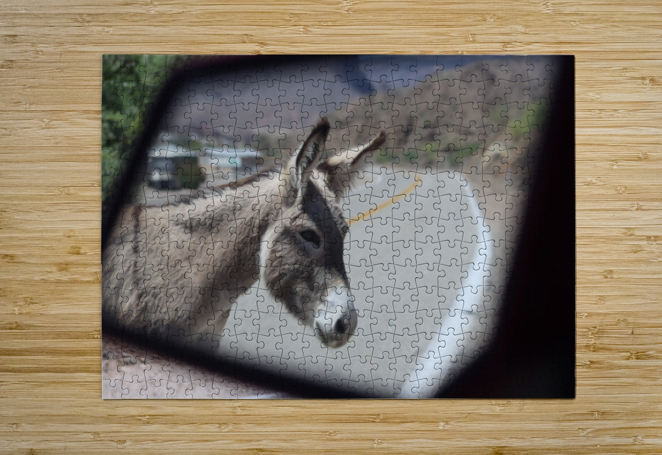 Donkeys in your mirror are closer than they appear Leslie Affeldt Photography Puzzle printing