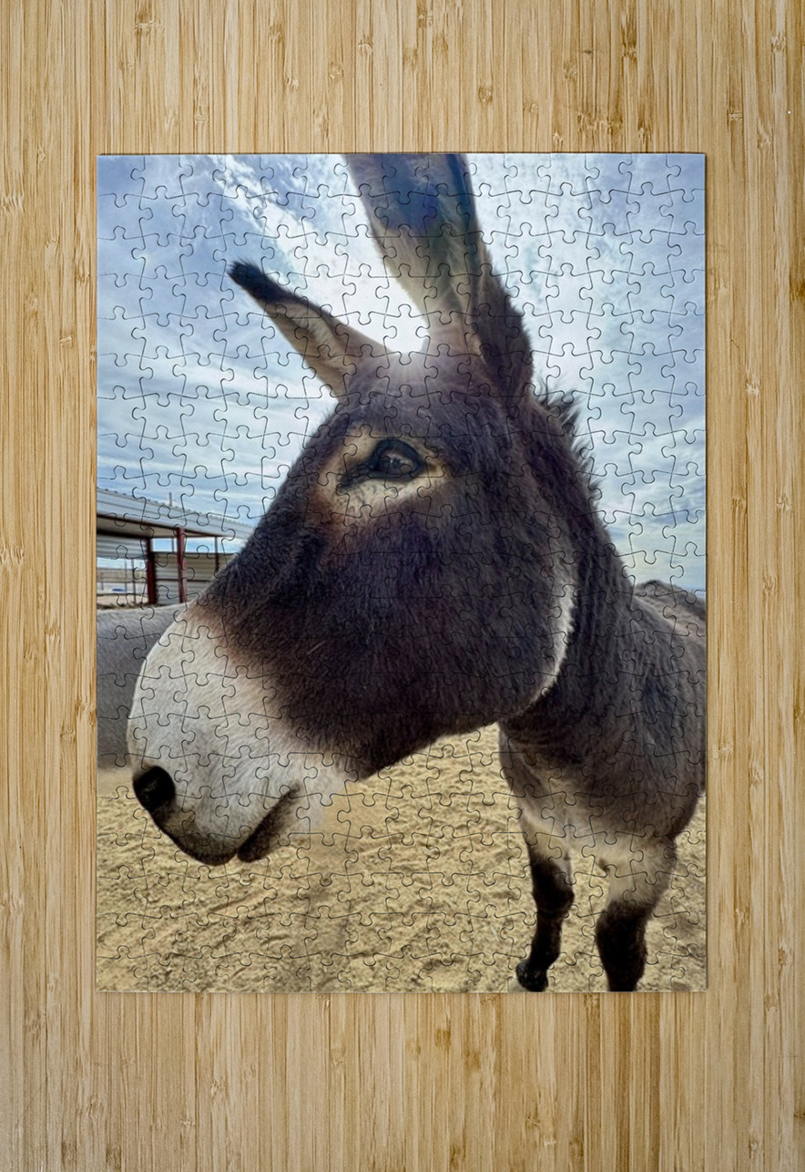 Ragnar Leslie Affeldt Photography Puzzle printing