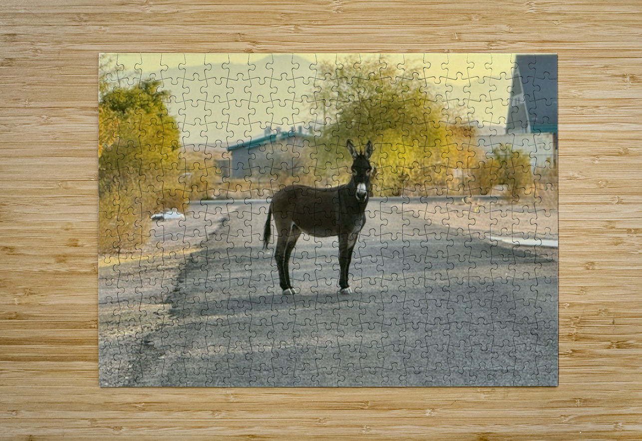 Donkey on my street Leslie Affeldt Photography Puzzle printing