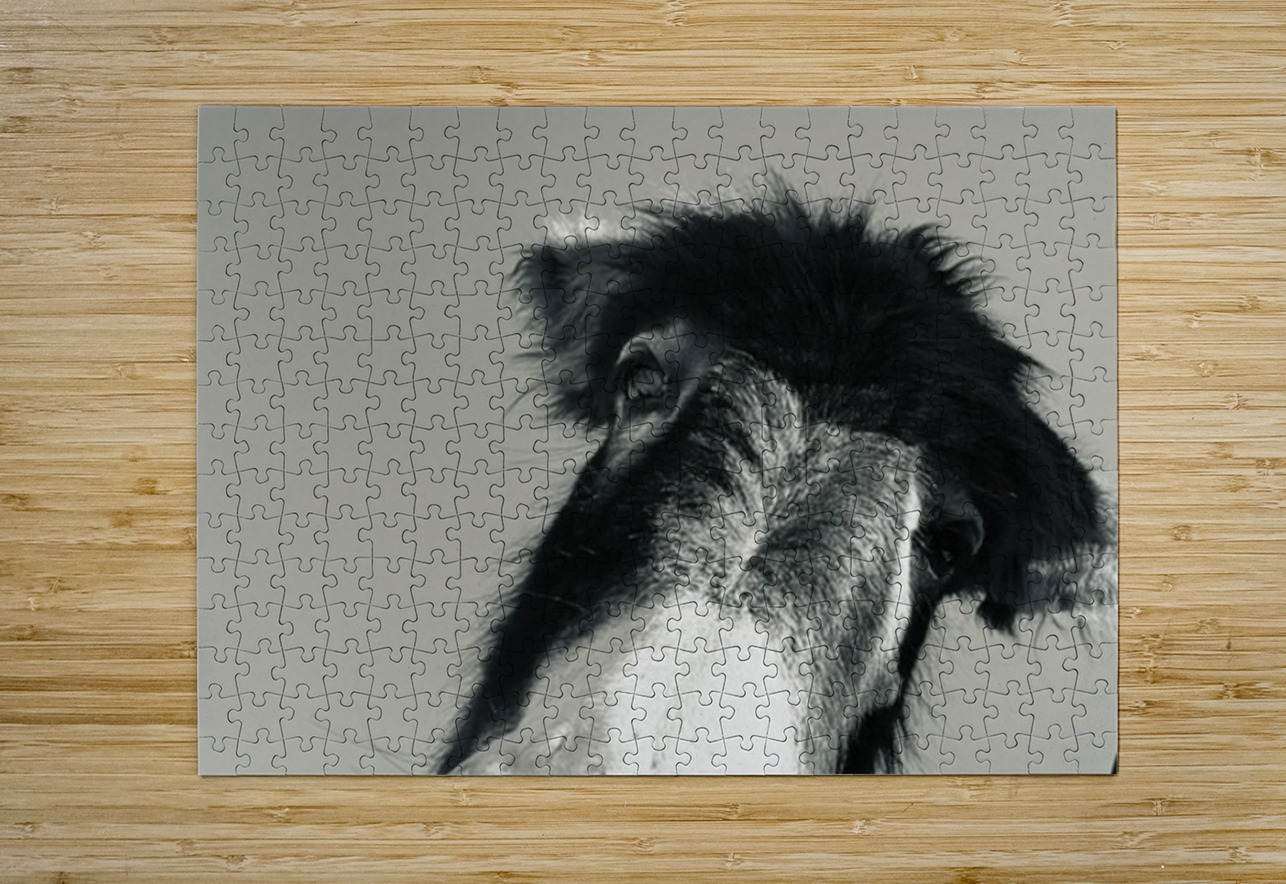 A burro named Stormy Leslie Affeldt Photography Puzzle printing