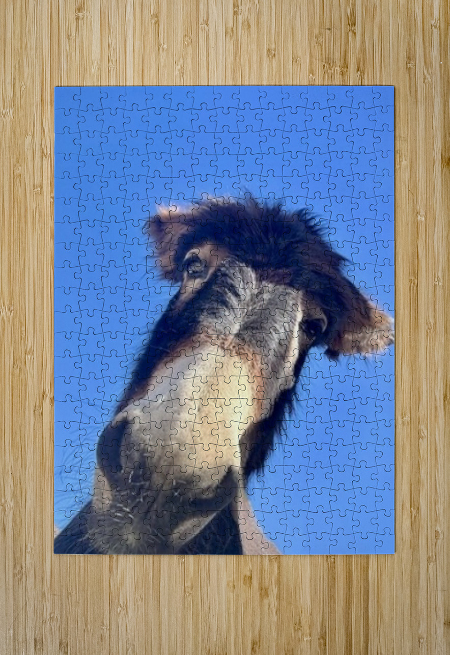 Stormy Leslie Affeldt Photography Puzzle printing