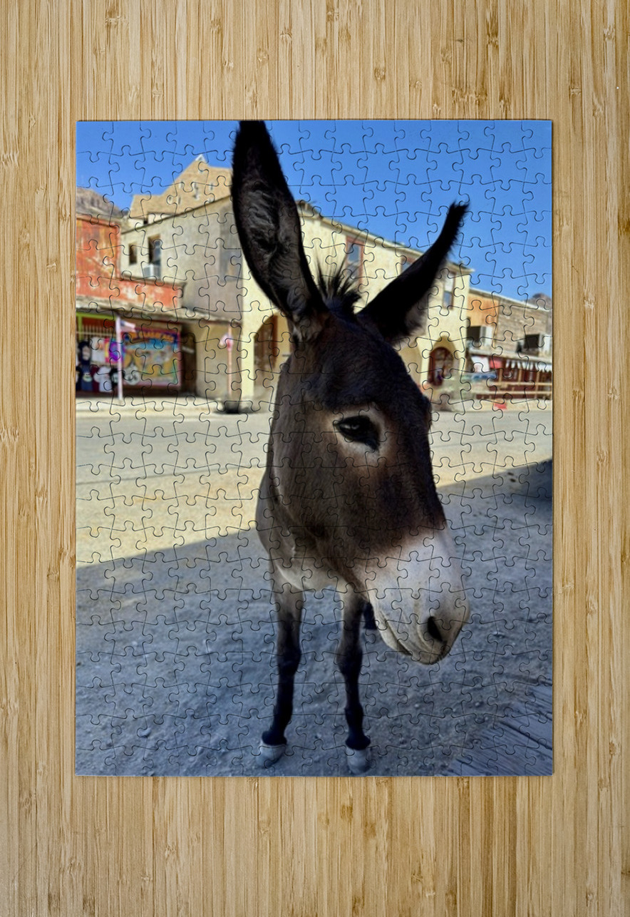 Oatman resident Leslie Affeldt Photography Puzzle printing