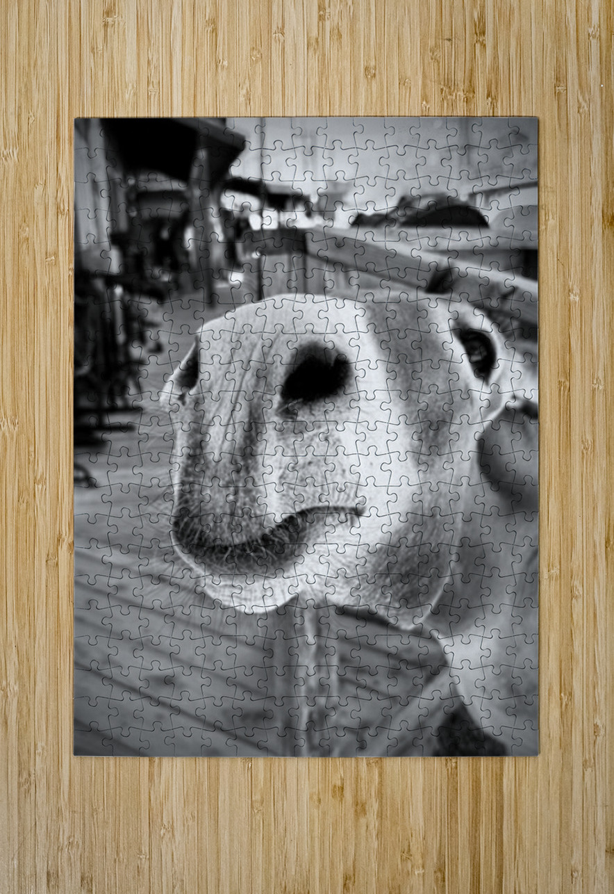 Give us a Kiss - black & white Leslie Affeldt Photography Puzzle printing