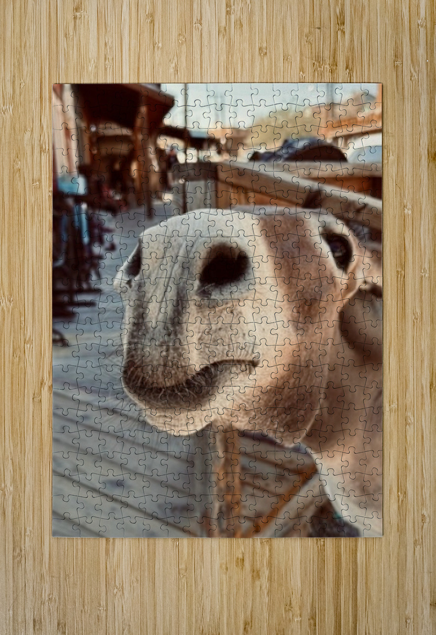 Give us a Kiss Leslie Affeldt Photography Puzzle printing