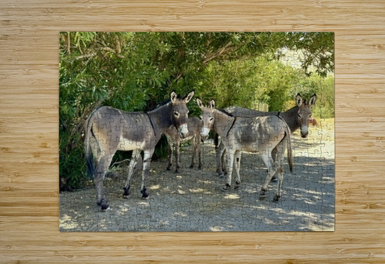 Lake Mohave Donkeys Leslie Affeldt Photography Puzzle printing