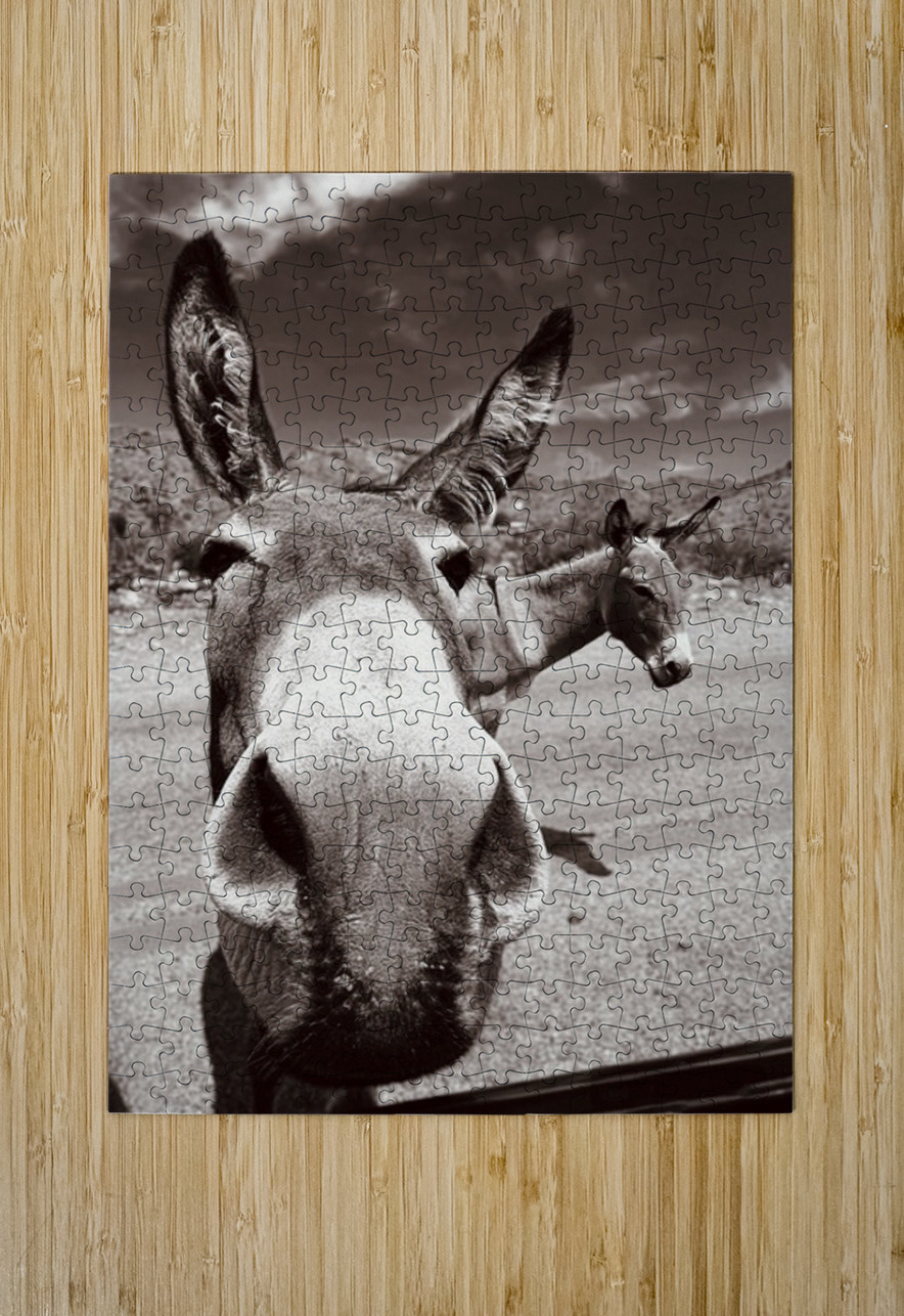 Welcome to Oatman Leslie Affeldt Photography Puzzle printing