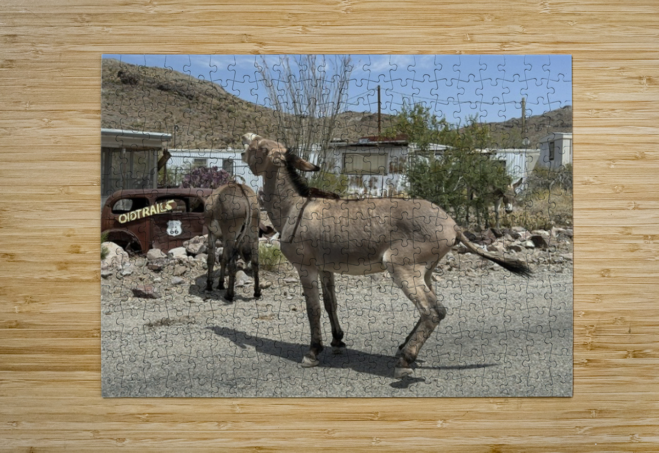 Street Party Leslie Affeldt Photography Puzzle printing