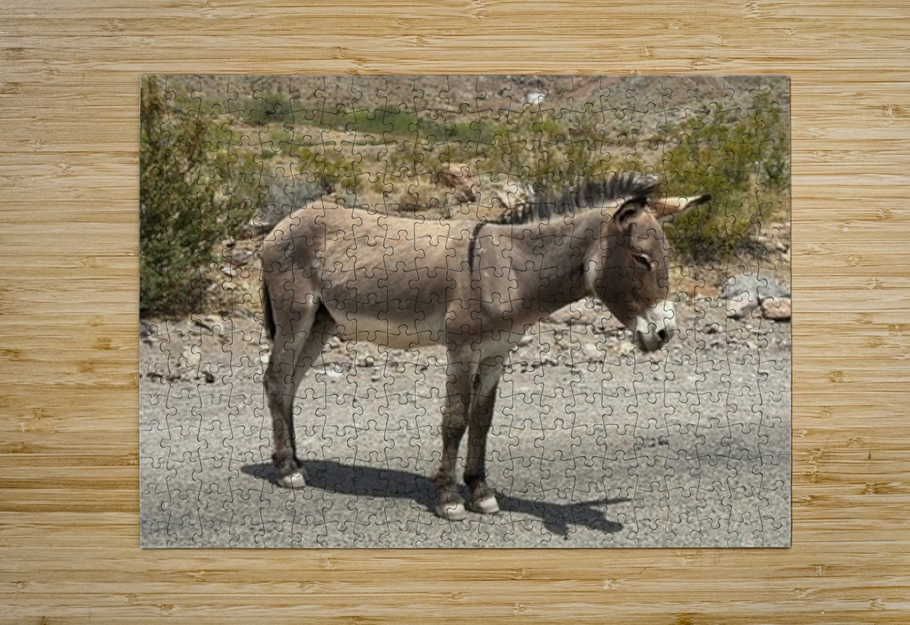 Heading to Oatman Leslie Affeldt Photography Puzzle printing
