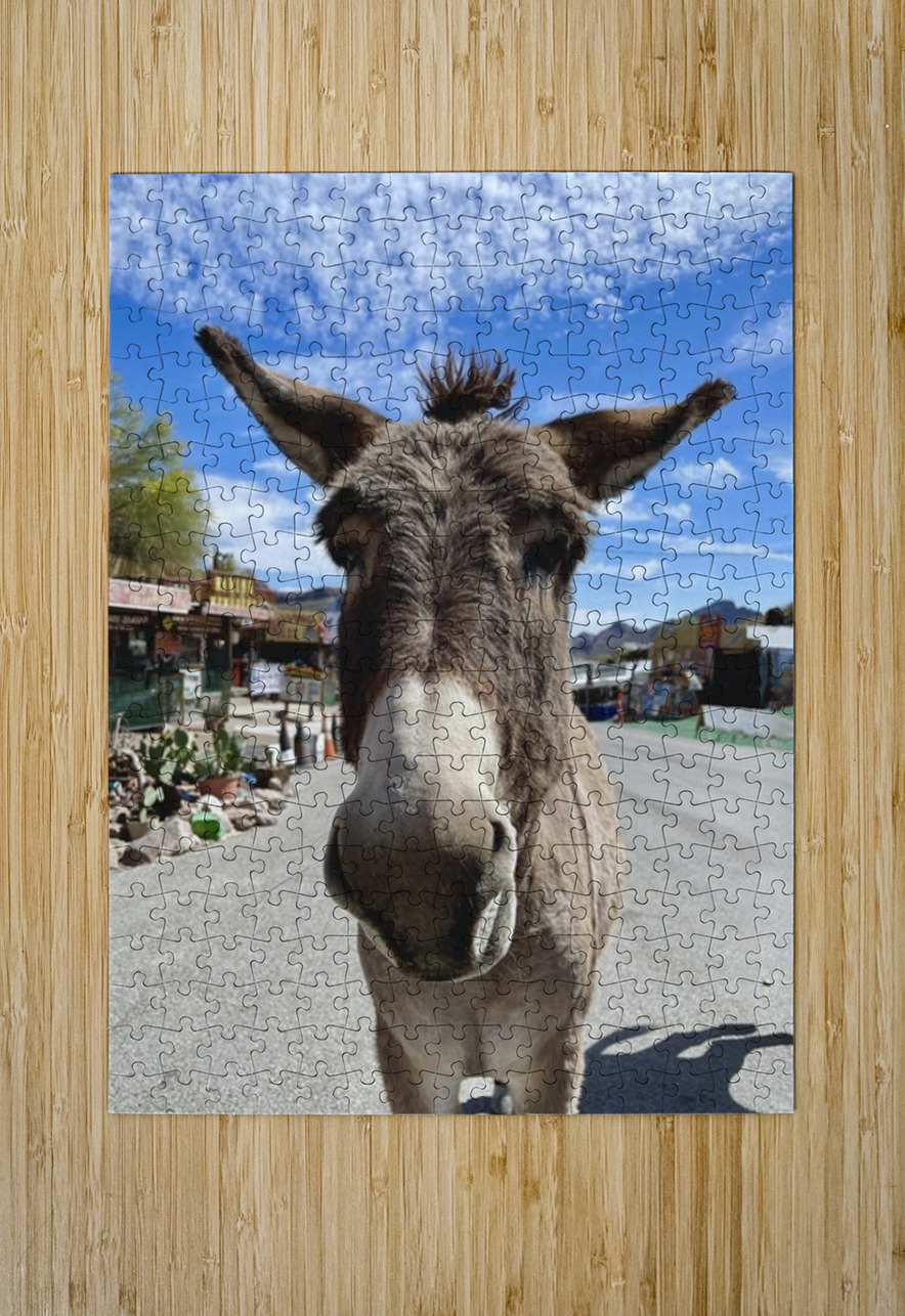 Oatman Donkey Leslie Affeldt Photography Puzzle printing