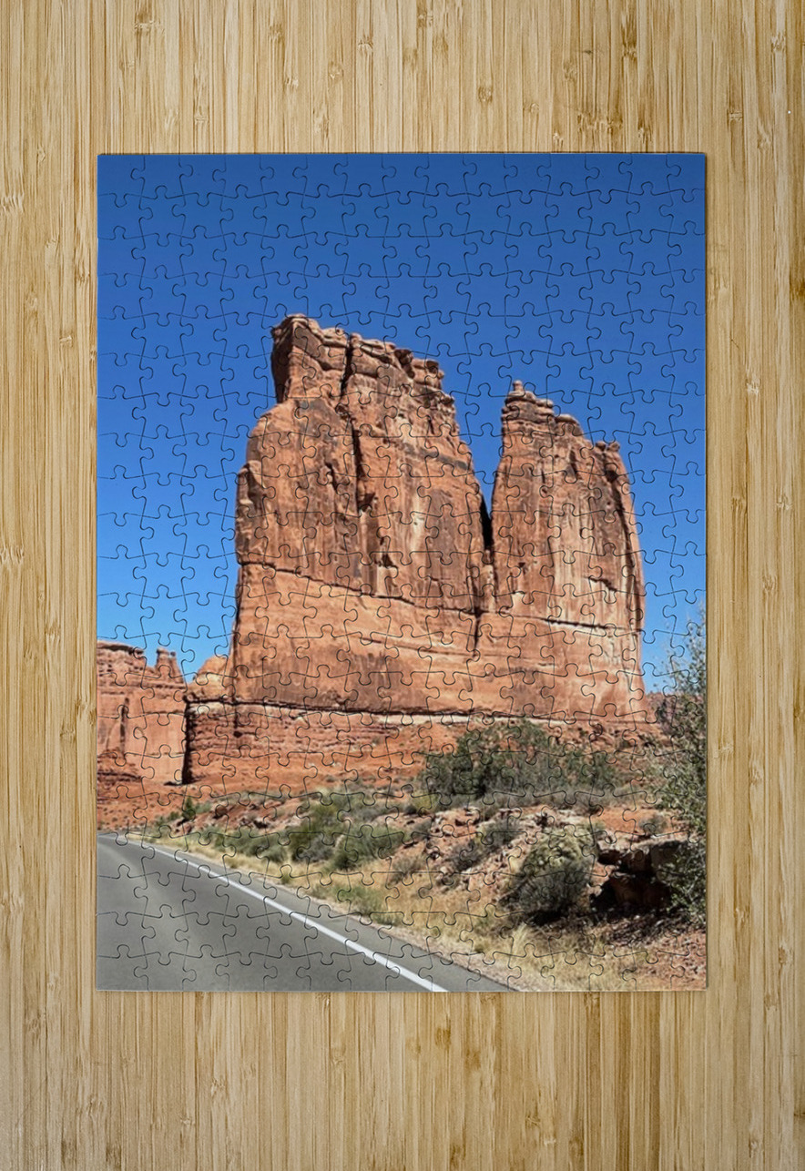 The Organ Leslie Affeldt Photography Puzzle printing