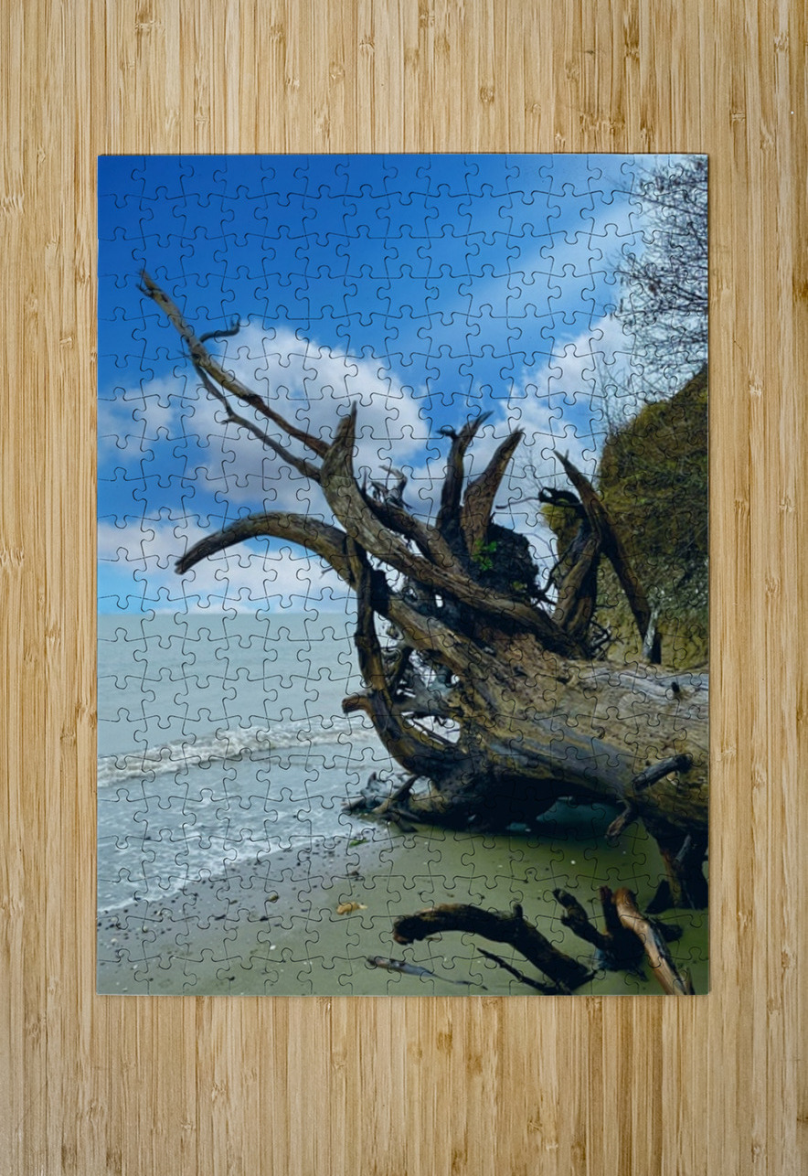 IMG 1646 Leslie Affeldt Photography Puzzle printing