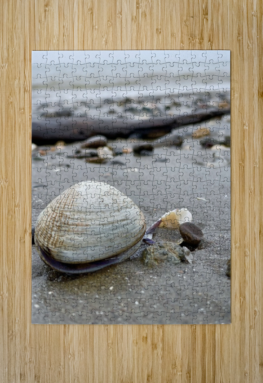 Keep Clam Leslie Affeldt Photography Puzzle printing