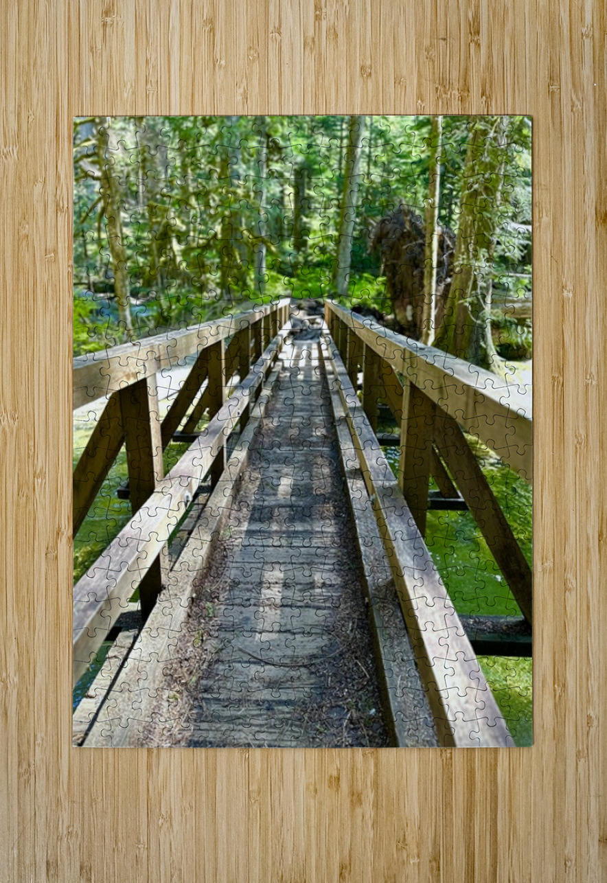 Forest Bridge Leslie Affeldt Photography Puzzle printing