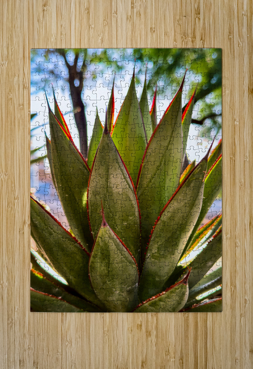 Agave Leslie Affeldt Photography Puzzle printing