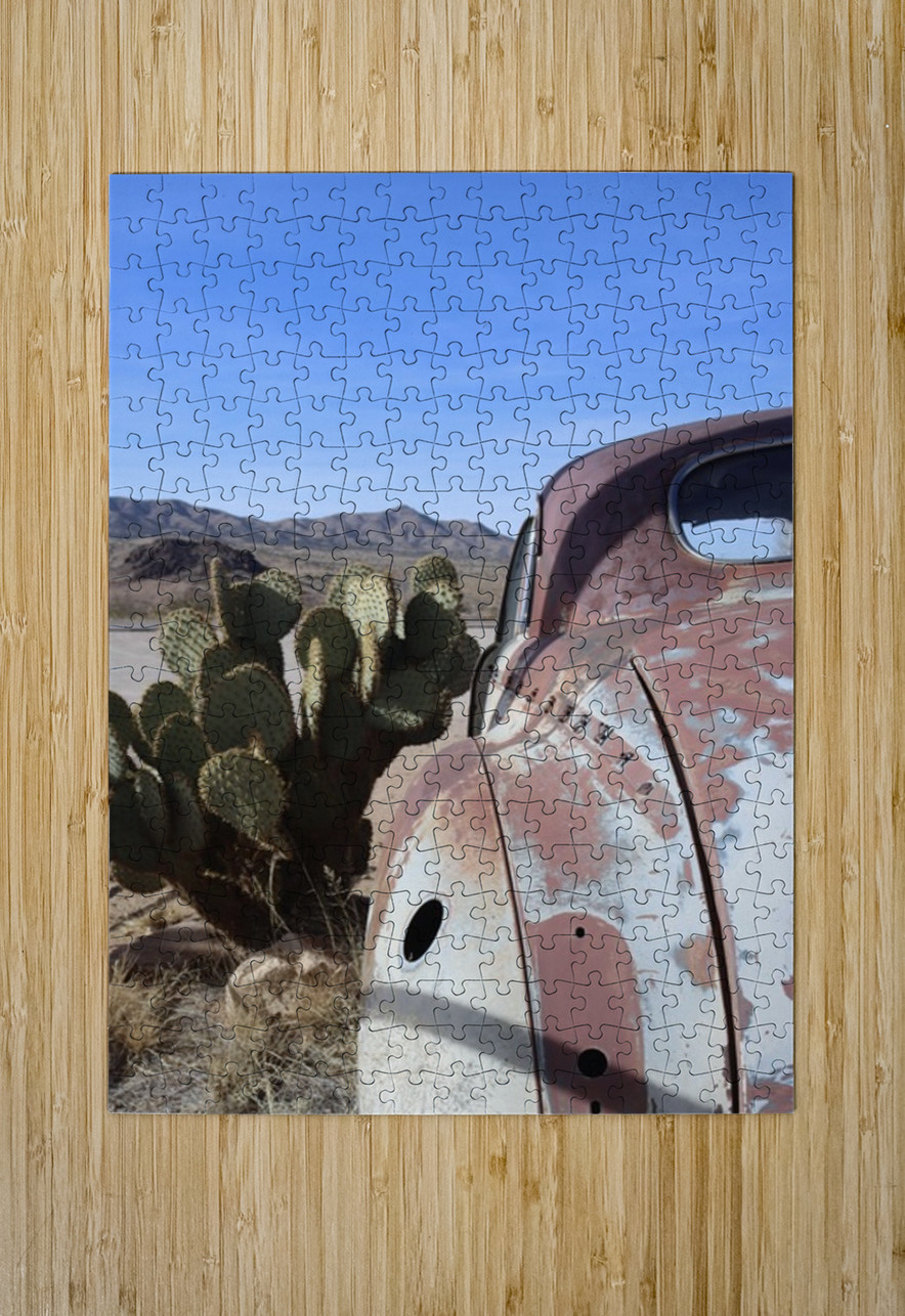 Old Cars and Cactus Leslie Affeldt Photography Puzzle printing