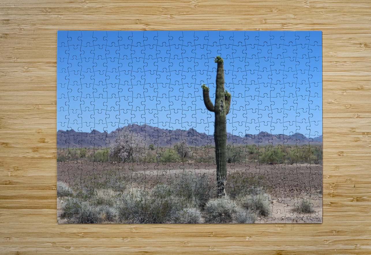 Saguaro desert scene Leslie Affeldt Photography Puzzle printing