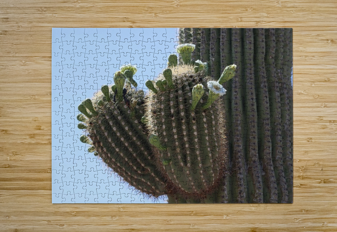 Saguaro blooms x 2 Leslie Affeldt Photography Puzzle printing