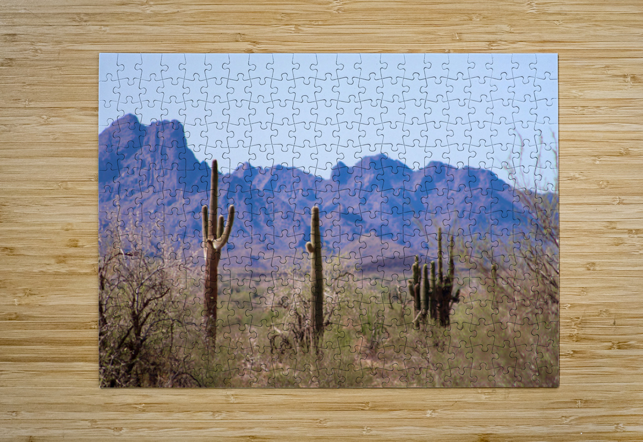 Desert landscape - Quartzsite Leslie Affeldt Photography Puzzle printing