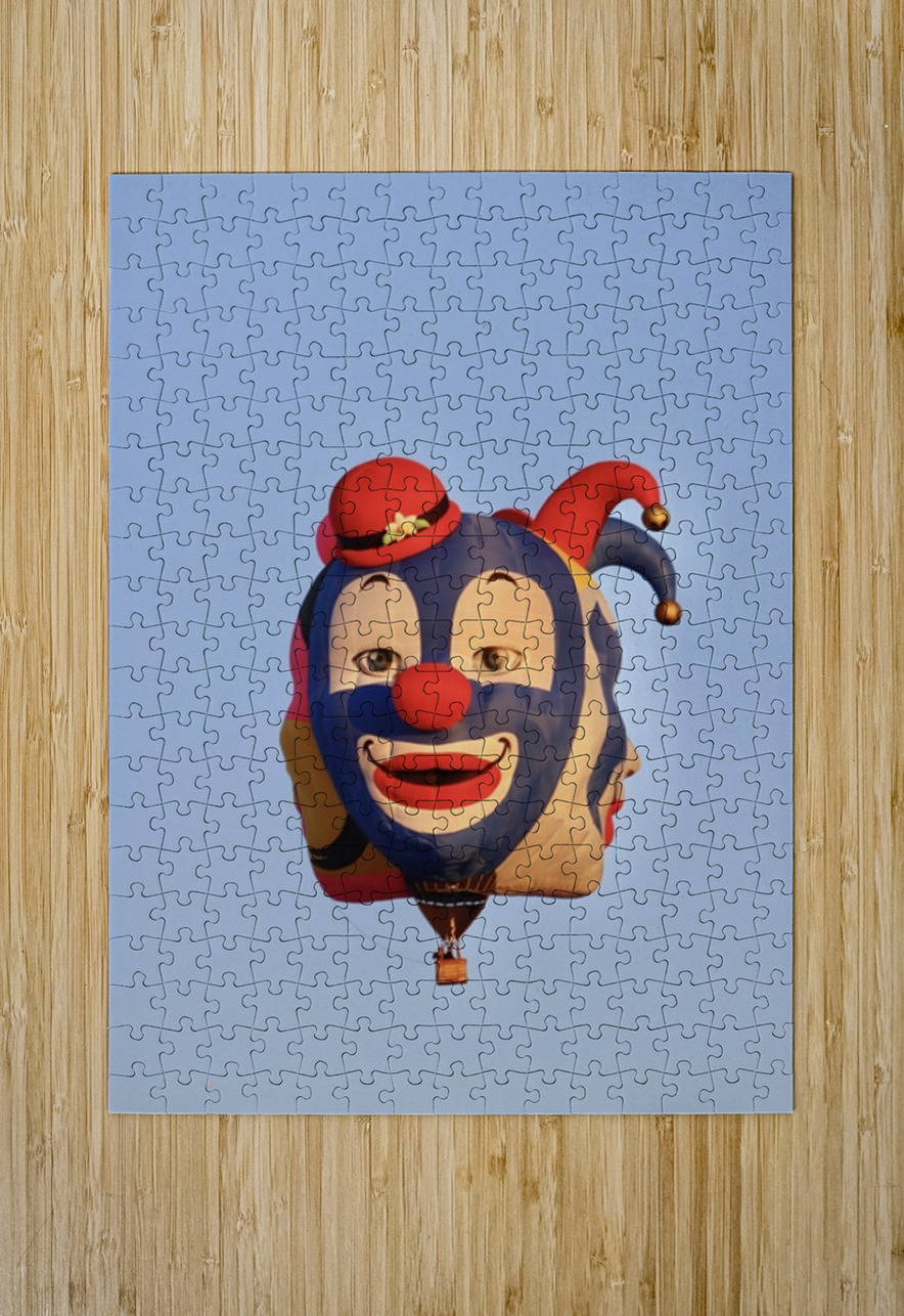 The Jester Leslie Affeldt Photography Puzzle printing