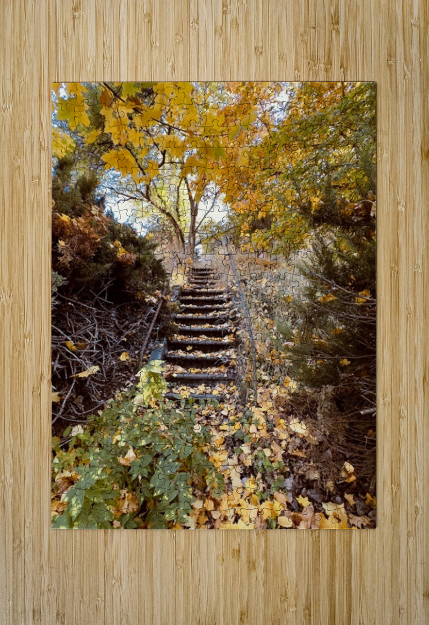 Autumn Staircase Leslie Affeldt Photography Puzzle printing