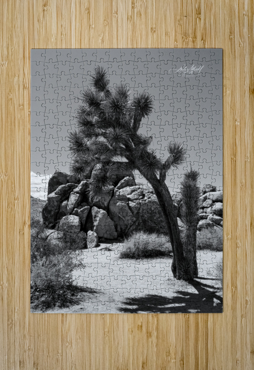 Joshua Tree Leslie Affeldt Photography Puzzle printing