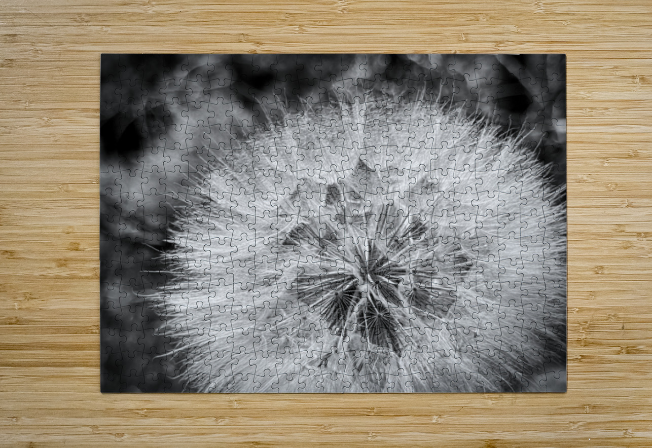 Dandelion Leslie Affeldt Photography Puzzle printing