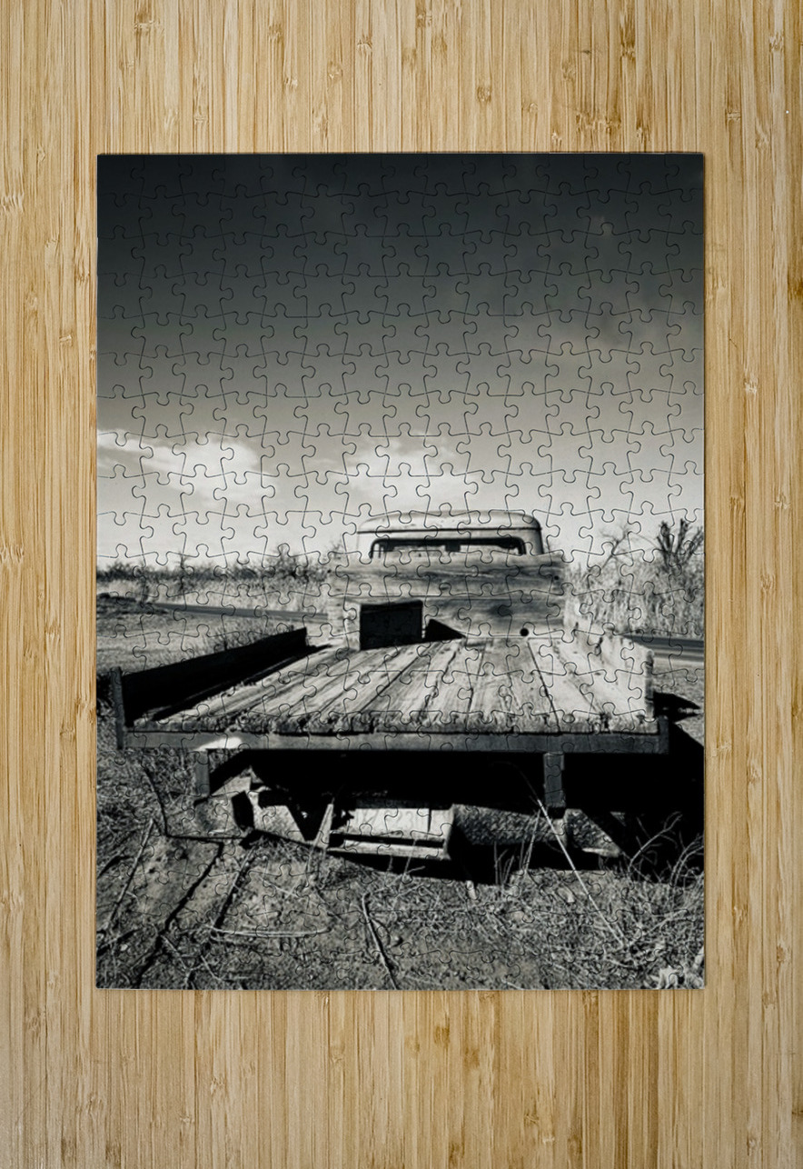 Rear View Leslie Affeldt Photography Puzzle printing