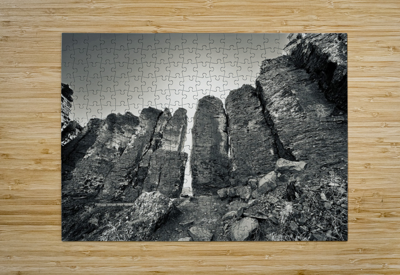 The Feathers Leslie Affeldt Photography Puzzle printing