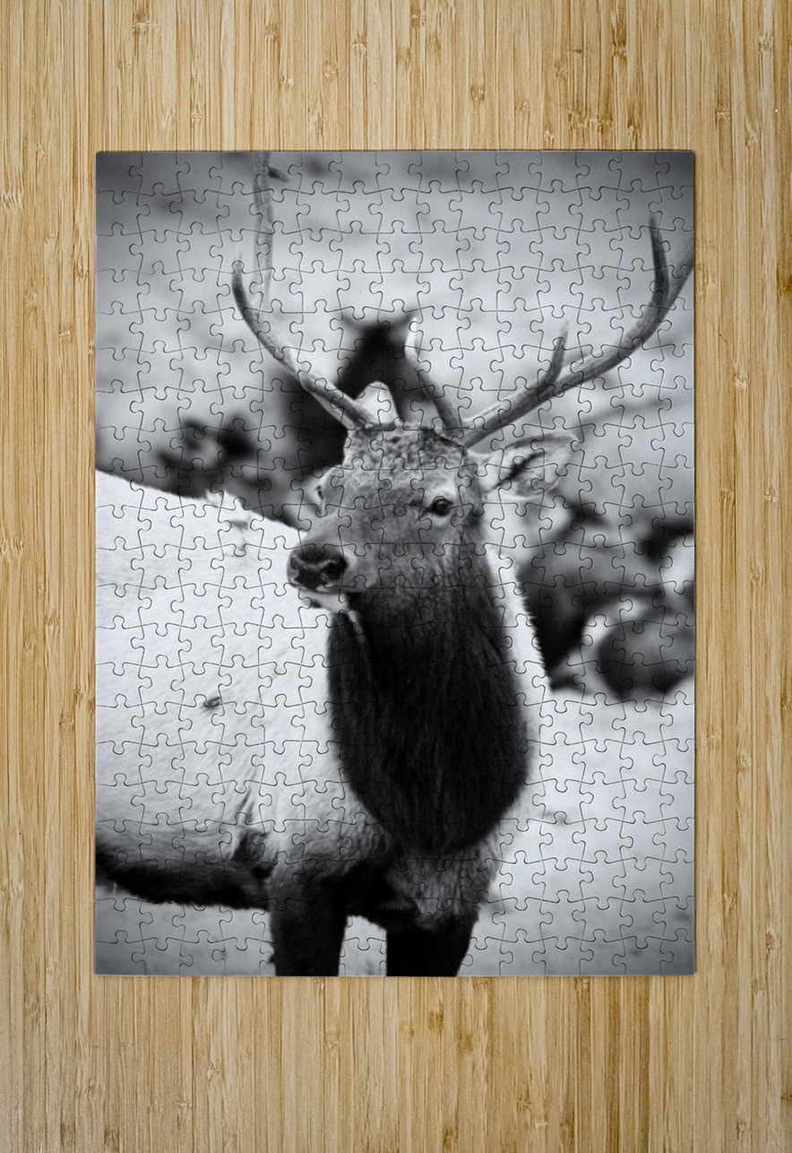 Elk Leslie Affeldt Photography Puzzle printing