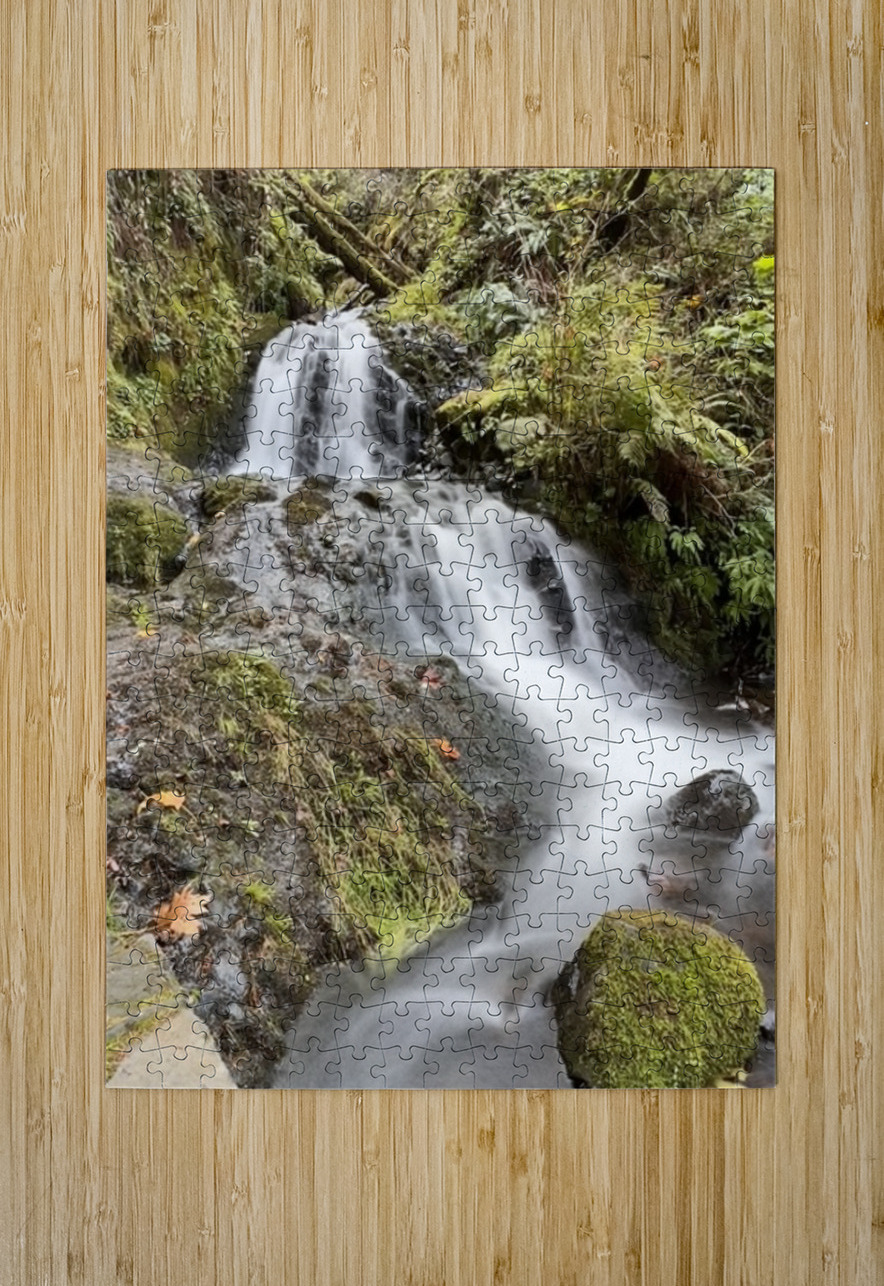 Oregon Waterfall Leslie Affeldt Photography Puzzle printing