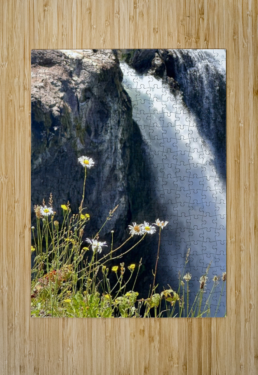 Snoqualmie falls through the Daiseys Leslie Affeldt Photography Puzzle printing