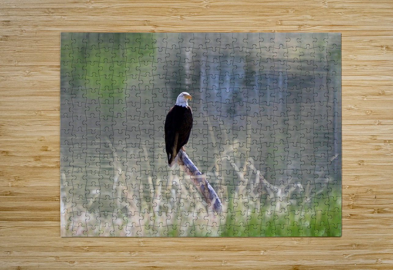 Bald Eagle on the Columbia Leslie Affeldt Photography Puzzle printing