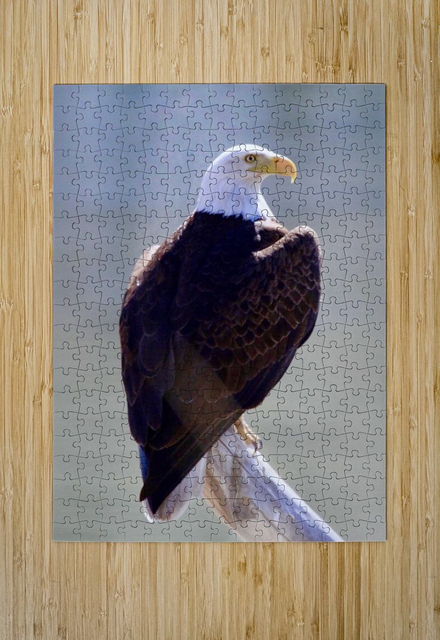 Majestic Leslie Affeldt Photography Puzzle printing