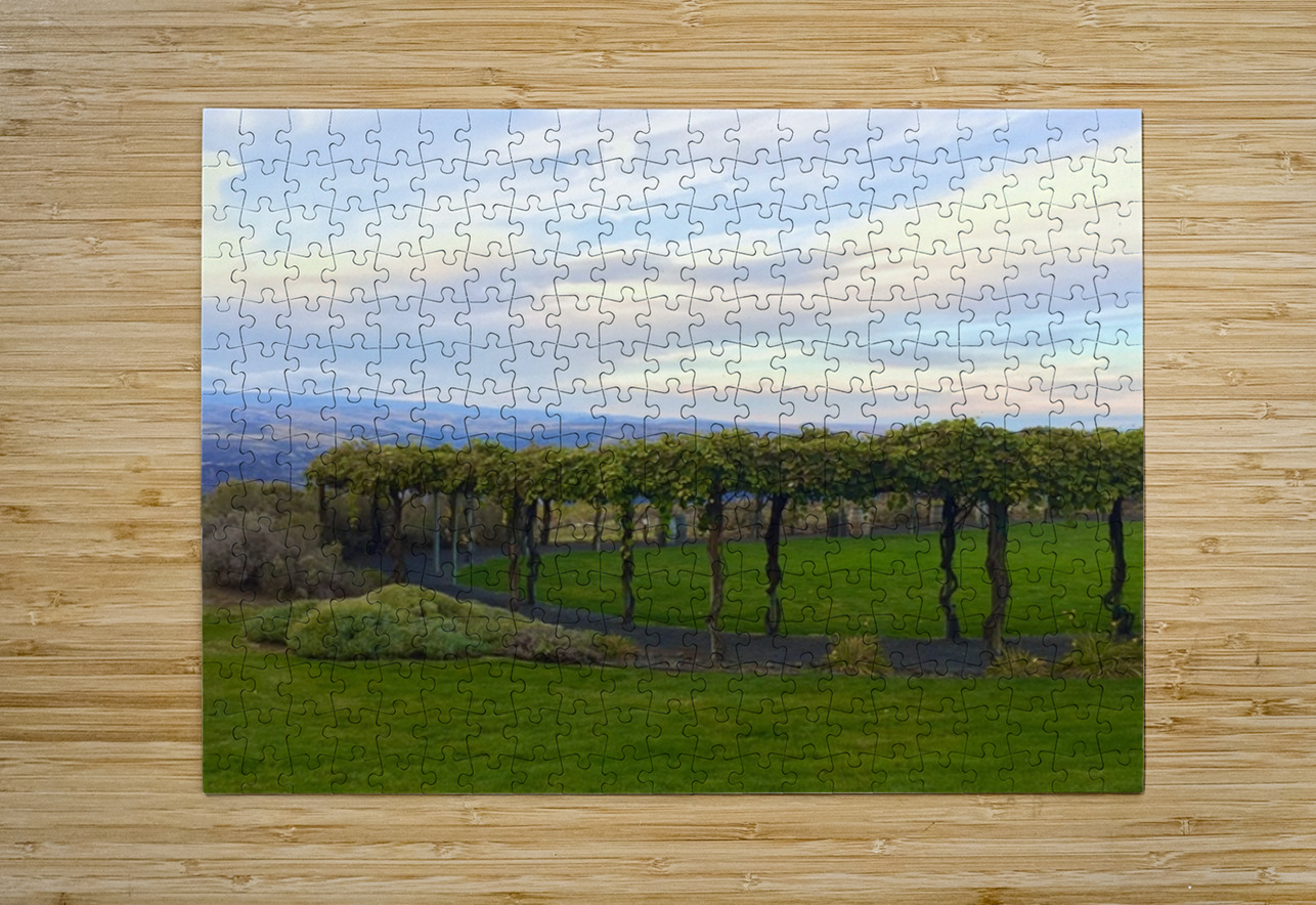 The piazza at Cave B Winery Leslie Affeldt Photography Puzzle printing