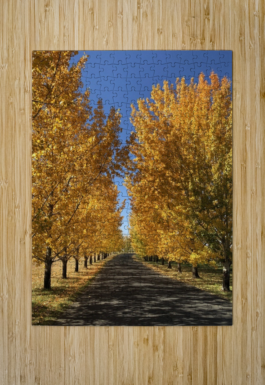 The Road to Cave B Leslie Affeldt Photography Puzzle printing