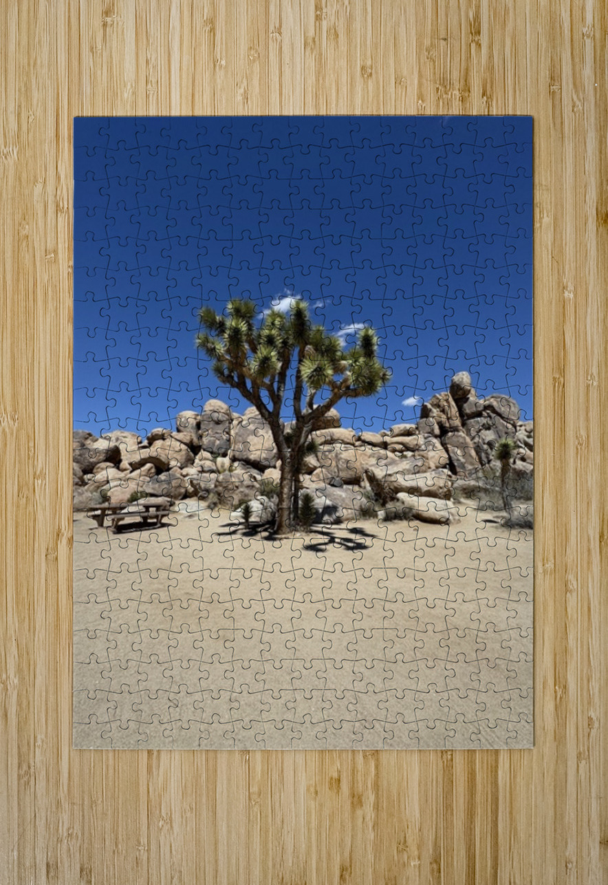 Joshua Tree -3 Leslie Affeldt Photography Puzzle printing