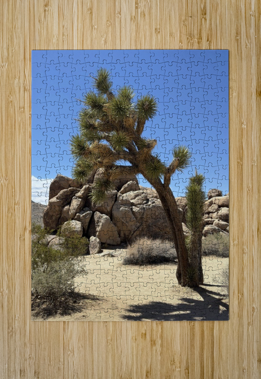 Joshua Tree -1 Leslie Affeldt Photography Puzzle printing