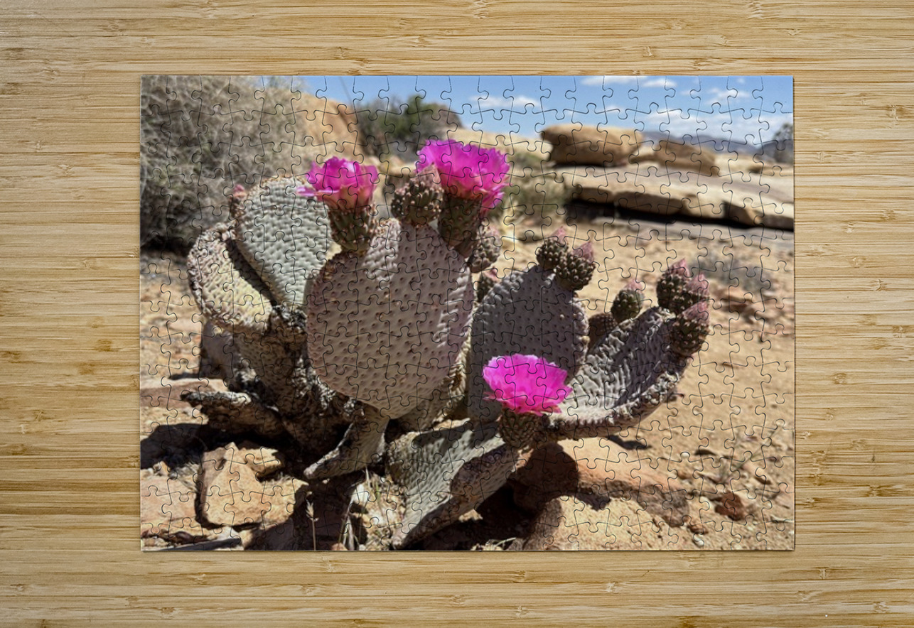 Cactus Bloom Leslie Affeldt Photography Puzzle printing