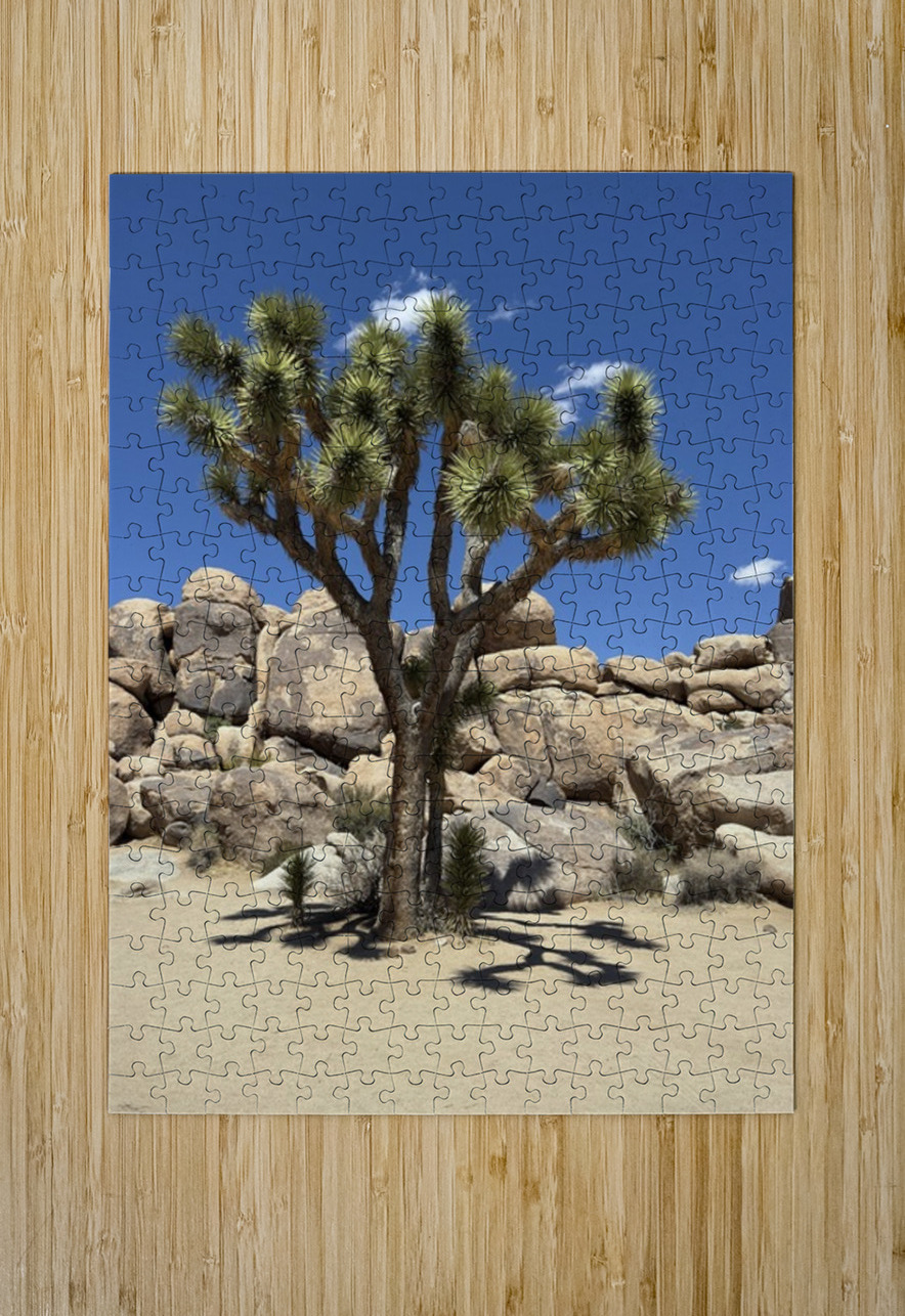 Joshua Tree -2 Leslie Affeldt Photography Puzzle printing