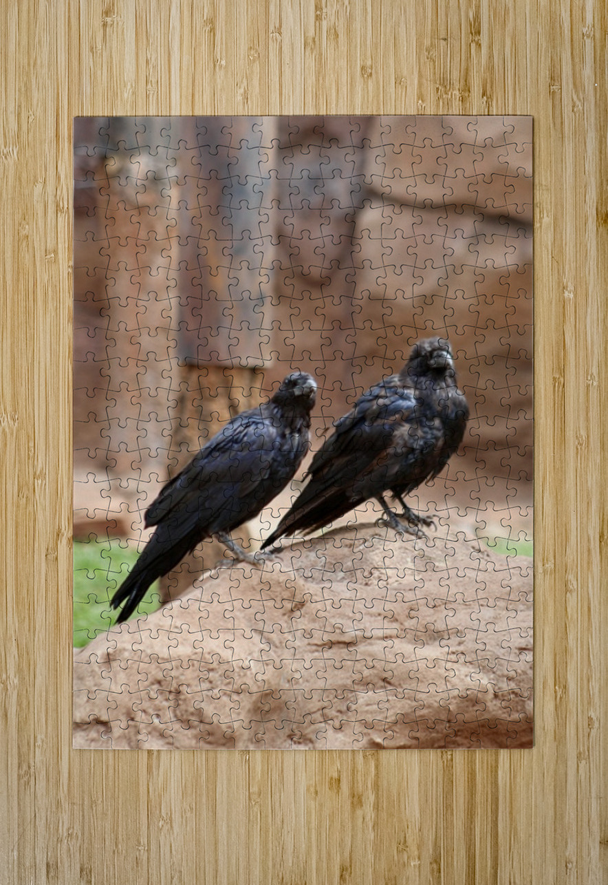Ravens Leslie Affeldt Photography Puzzle printing