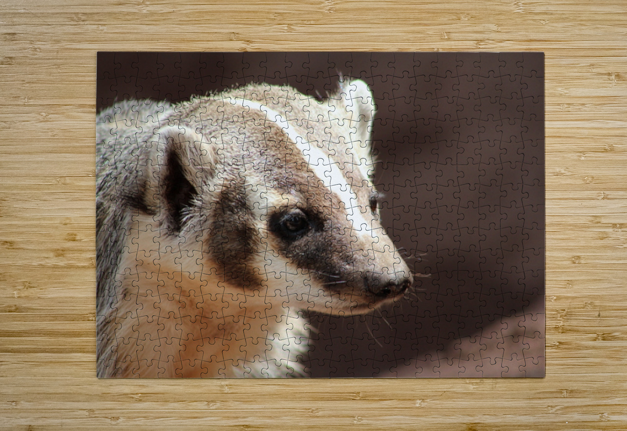 Badger -2 Leslie Affeldt Photography Puzzle printing