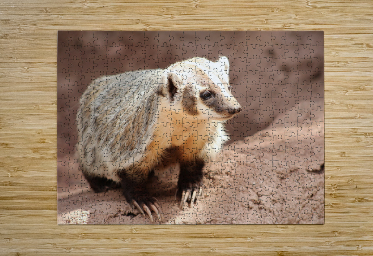 Badger -1 Leslie Affeldt Photography Puzzle printing