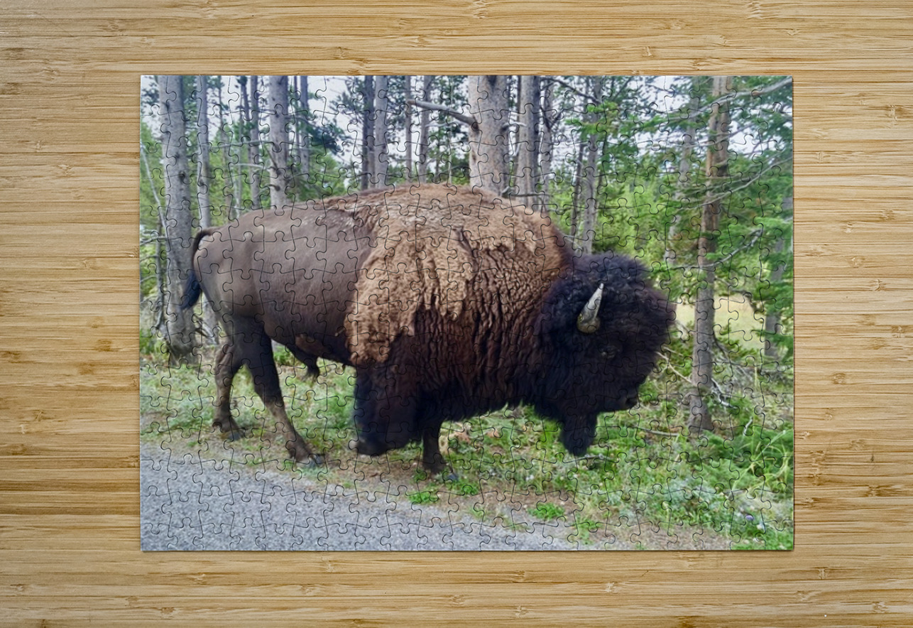 Yellowstone Bison Leslie Affeldt Photography Puzzle printing