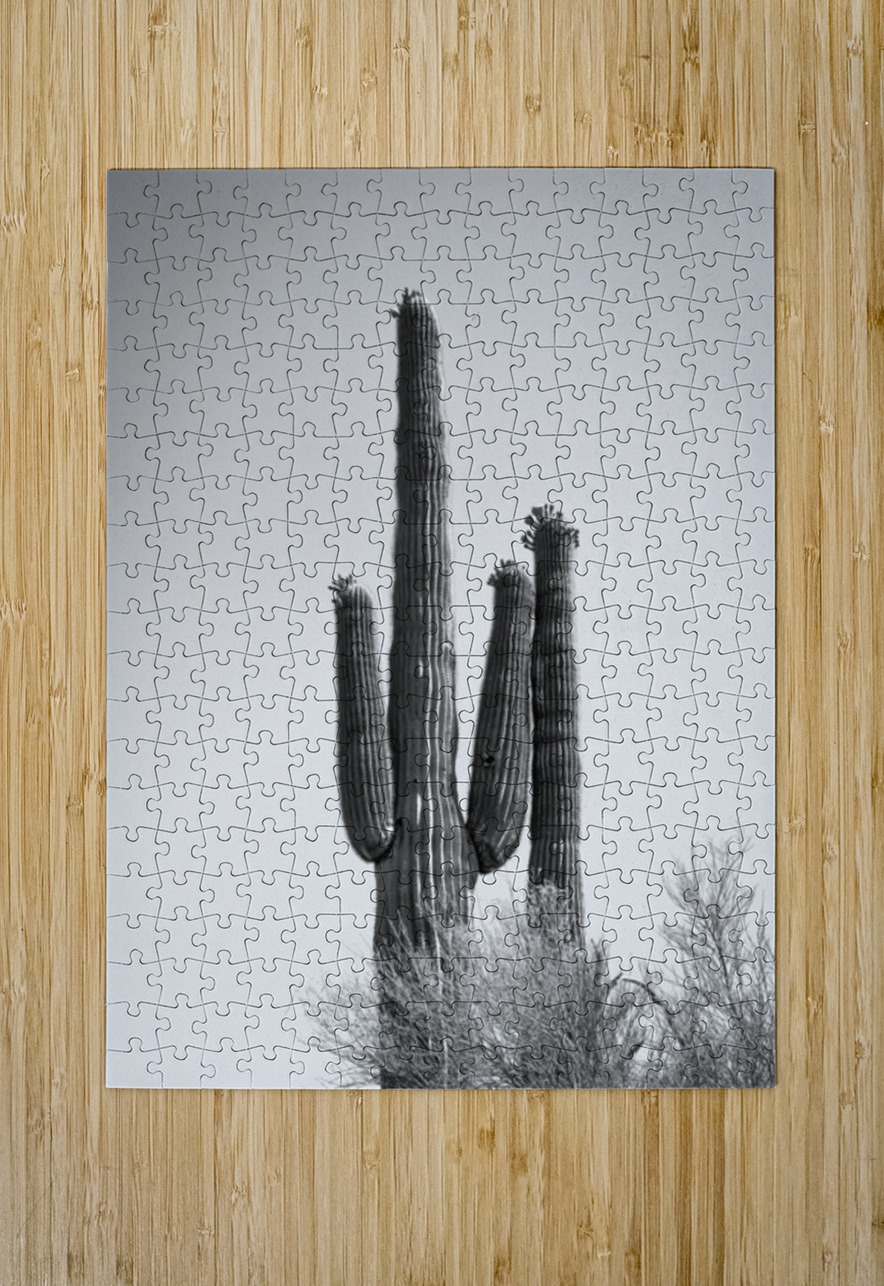 Saguaro Dream in black and white -1 Leslie Affeldt Photography Puzzle printing