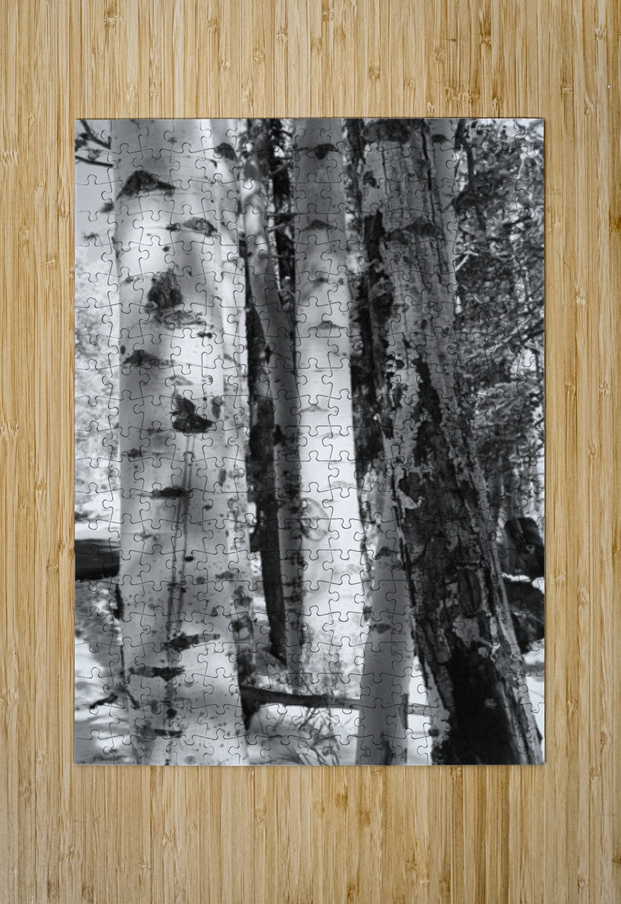 IMG 4696 Leslie Affeldt Photography Puzzle printing