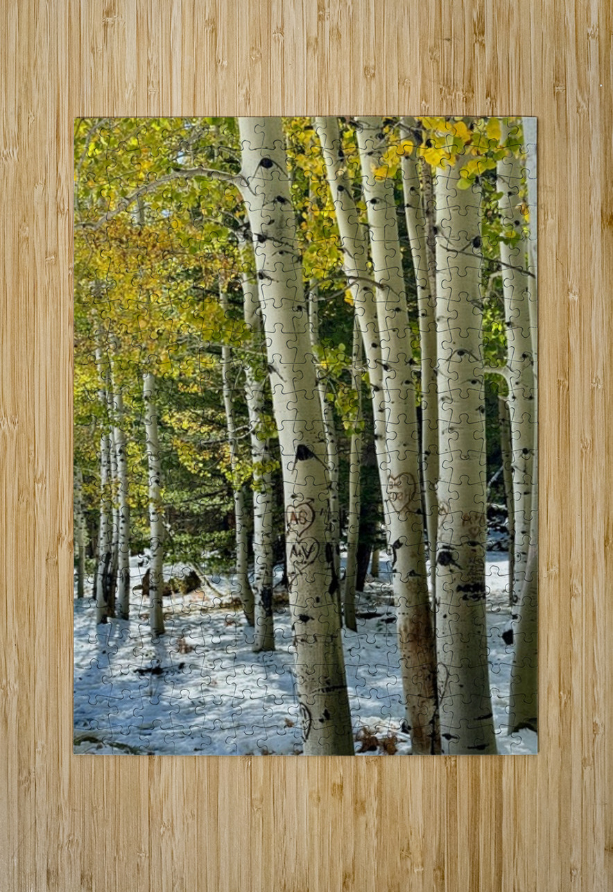 Aspens in Flagstaff -2 Leslie Affeldt Photography Puzzle printing