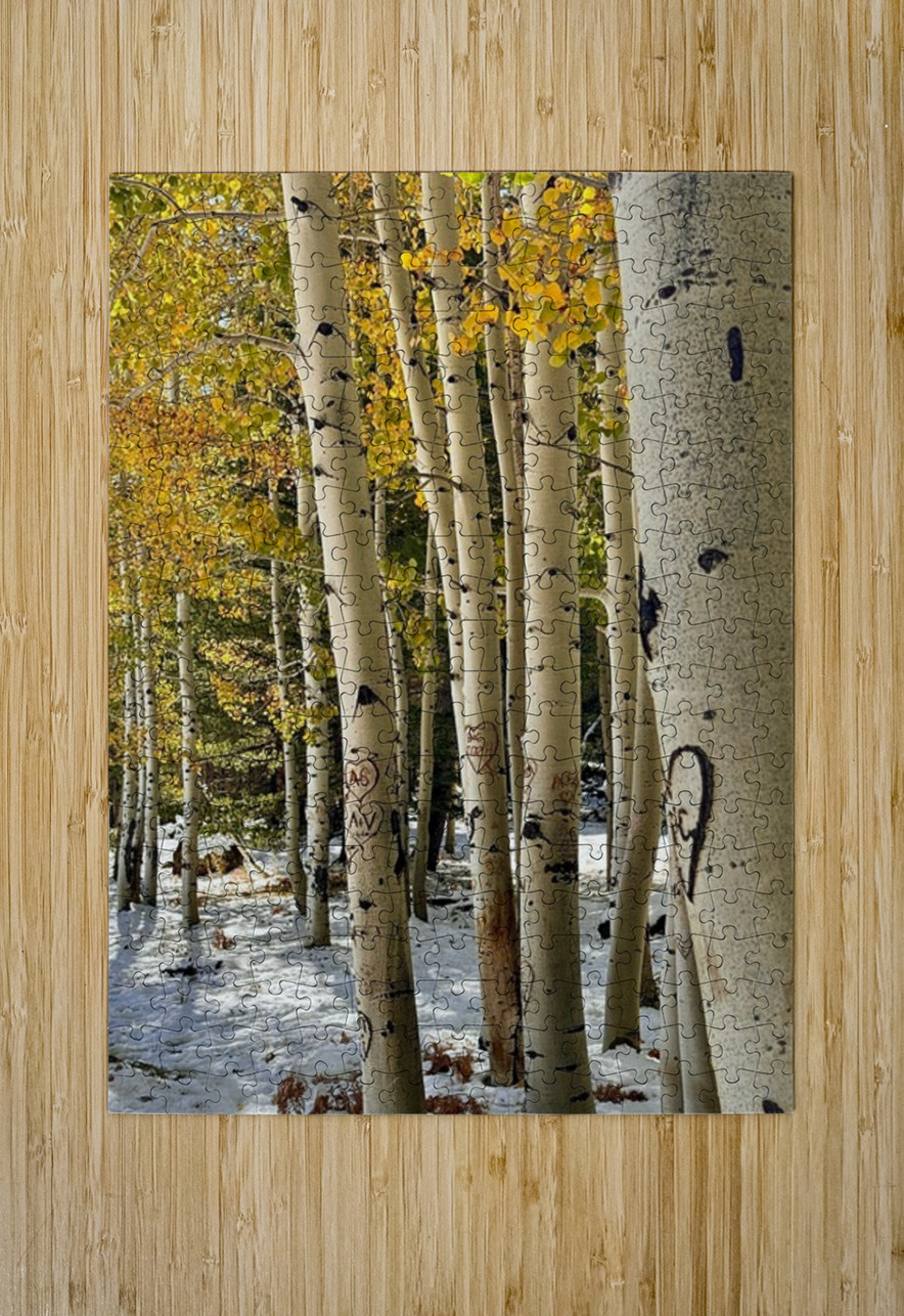 Aspens in Flagstaff -1 Leslie Affeldt Photography Puzzle printing