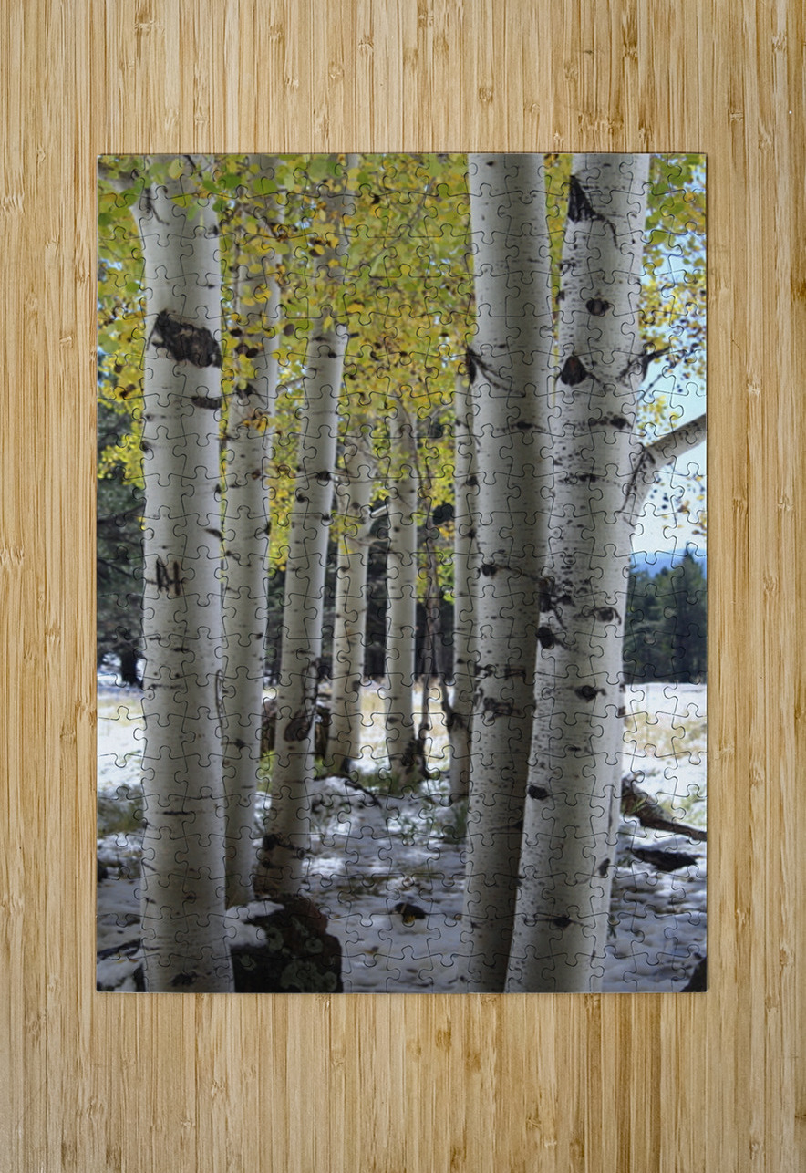Aspens in Flagstaff Leslie Affeldt Photography Puzzle printing